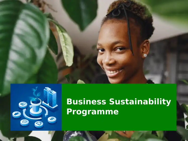 Business Sustainability Programme