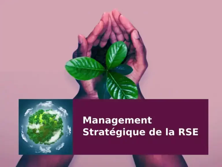UIPM Executive Education – Certificat Executive : Management Stratégique de la RSE